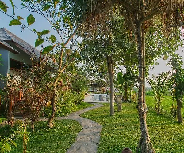 D'carik Bali * Denpasar